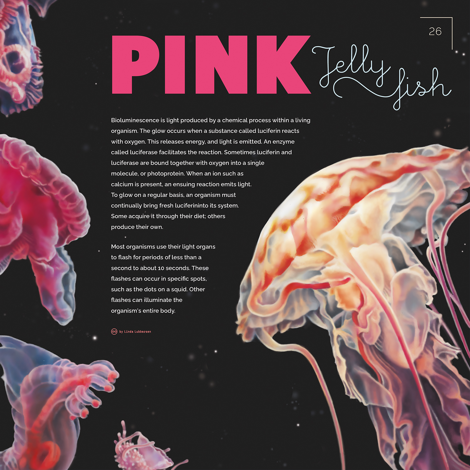 pink_jellyfish